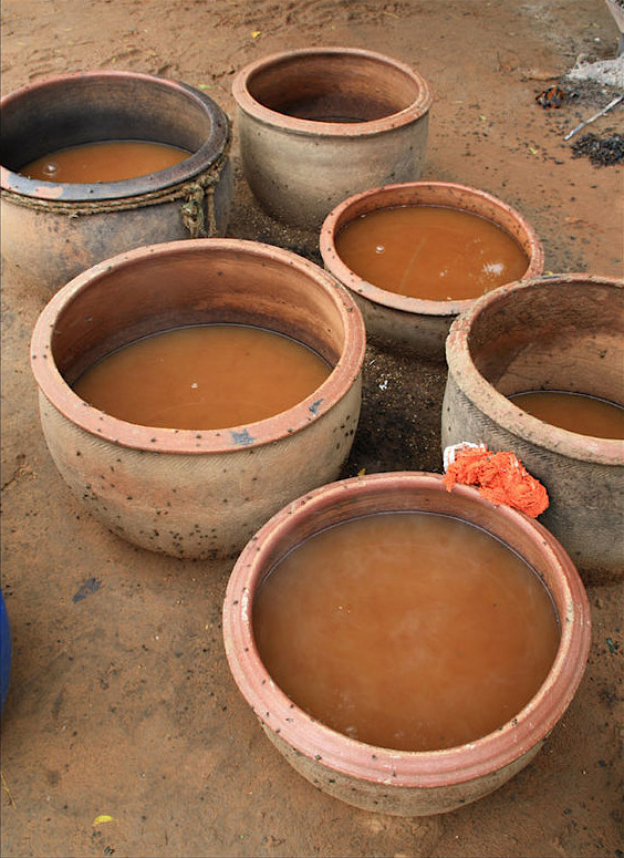 Fermented dolo (photo Alexandre Magot)